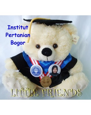 Boneka Wisuda Institut Pertanian Bogor (30 cm)